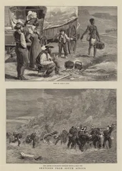 Schetsen uit Zuid-Afrika